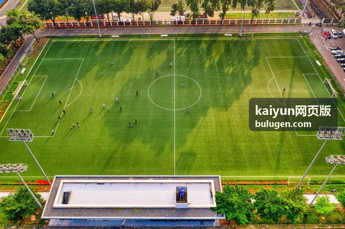kaiyun网页版 结果查看与对比界面示意图