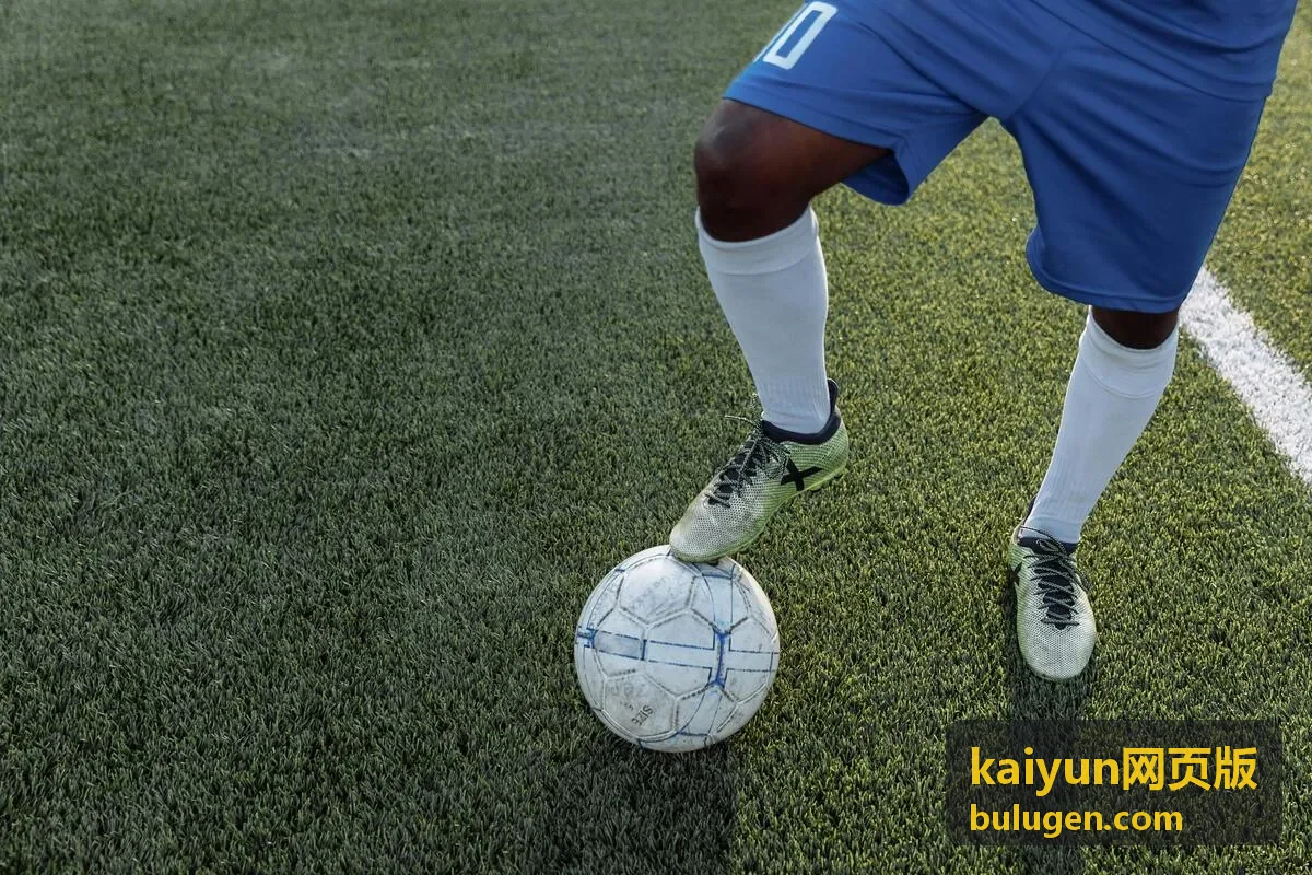 kaiyun网页版 数据与案例分类入口图